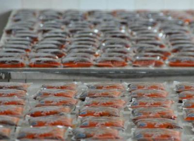 火鍋底料專業(yè)廠家是一家綜合性的企業(yè)